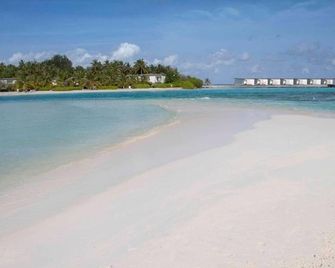 Rosy Villa Hotel - Guraidhoo - Beach