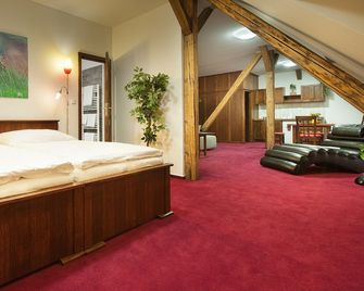 بيروني بوتيك هوتل - اوسترافا - غرفة معيشة