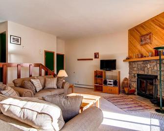 B-101 Buffalo Ridge - Silverthorne - Living room