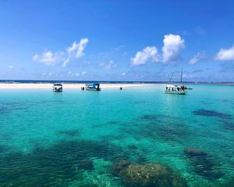 Diani-Paradise-Villas - Diani Beach - Playa