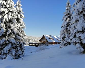 Ferienwohnung Heustueble - Hinterzarten