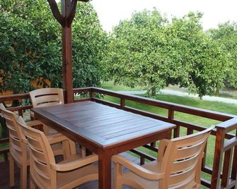 Villa Bilge - Cirali - Balcón