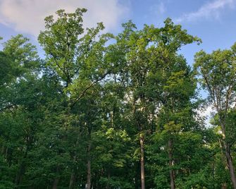 Large Private House on 5 Wooded Acres. Total Privacy! - Hackettstown - Vista del exterior