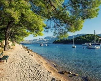 Room in Cavtat with sea view, balcony, air conditioning, W-LAN 3686-1 - Cavtat - Beach