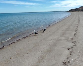 Budget Ceduna - Ceduna - Beach