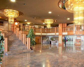 Ichimanri Hotel Golden Century - Saku - Salónek