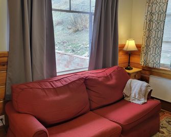 Stone Mountain Lodge - Lyons - Sala de estar