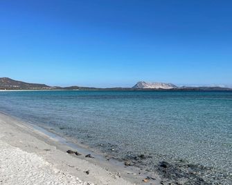 Hotel Al Faro Spiaggia La Cinta Santeodo - San Teodoro - Playa