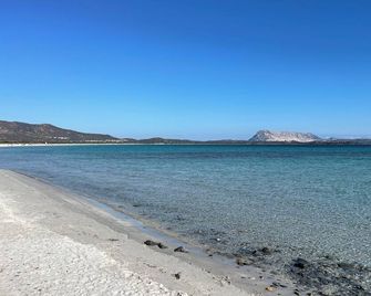 Hotel Al Faro Spiaggia La Cinta Santeodo - San Teodoro - Beach