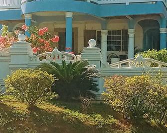 My place is house with jacuzzi near YSFall. Black river Safari. Pelican bar . - Santa Cruz - Patio