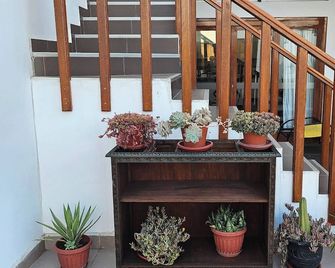 Surfers Paradise - Casa Caro - Punta Negra
