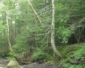 Cozy Streamside Cabin, Convenient To Ski Liberty And Gettysburg - Fairfield