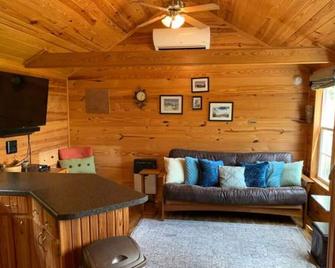 Mountainside Cabin! Pets Welcome, Fantastic Views! Private Retreat! - Tamworth - Living room