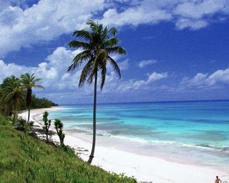 On The Dune - Beachfront Cottage With 50 Mile Ocean View, Pool 2 Bedroom Villa - North Palmetto Point - Playa