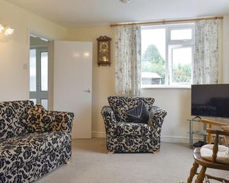 3 bedroom accommodation in Llanarmon yn Lal - Mold - Living room