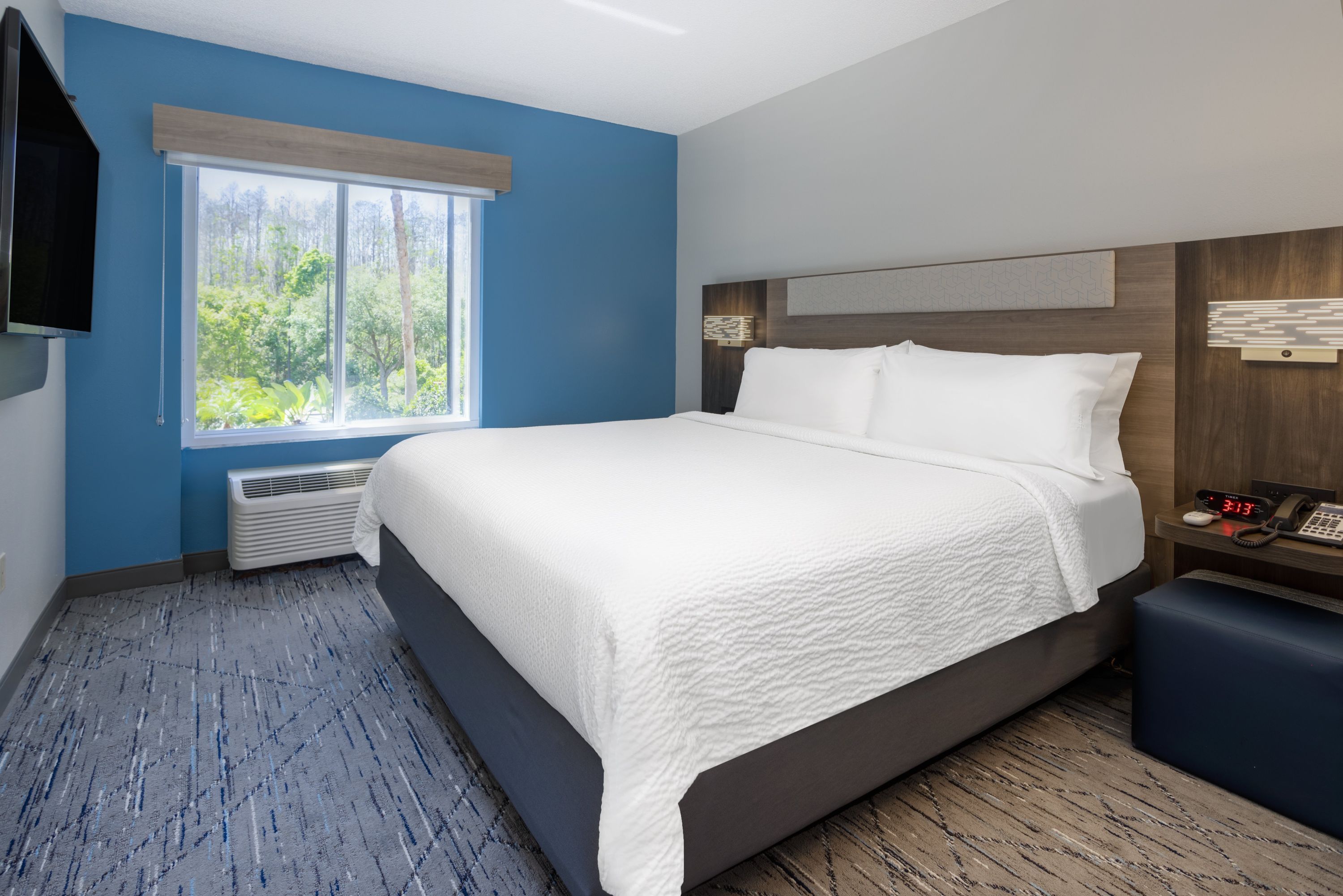 Holiday Inn Express & Suites Tampa-I-75 @ Bruce B. Downs By IHG - טמפה - חדר שינה