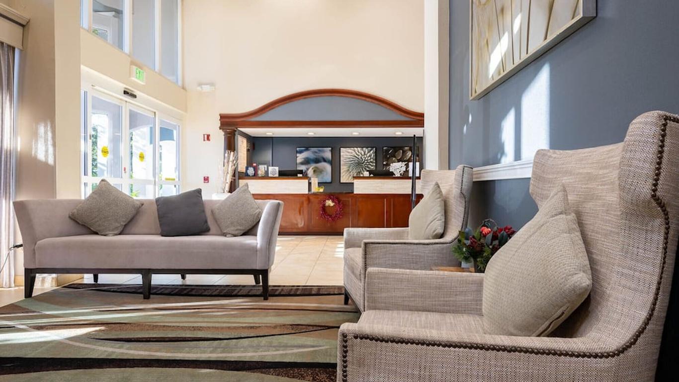 سامر بليس إن دستين