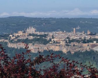 Tra gli ulivi e il panorama - Orvieto - Vista del exterior