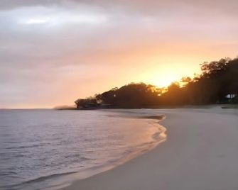 Corlette Palms Motor Inn - Taylors Beach - Пляж