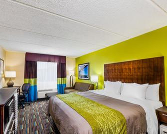 Comfort Inn Chula Vista San Diego South - Chula Vista - Phòng ngủ