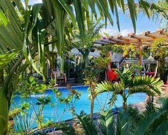 Hostal Hilltop Salento - סאלנטו - בריכה