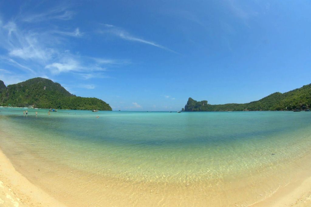 دي دي بيتش هاوس