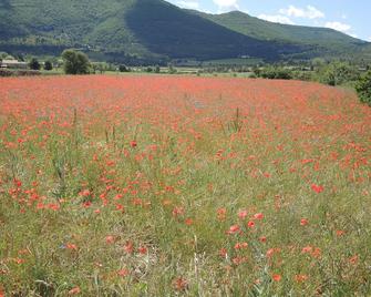 Cottage rental at the foot of Mont Ventoux surrounded by lavender in Sault en Provence - Sault - Extérieur