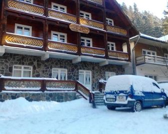 Pensiunea Vanatorul - Băile Tuşnad - Gebäude