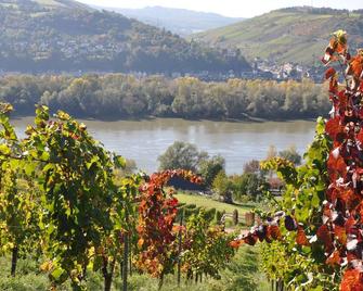 Comfortable apartment in the vineyards with a wonderful view of the Rhine and castles - Lorch am Rhein - Außenansicht