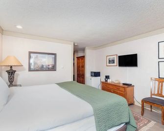 Mountainside Inn 221 1 Bedroom Hotel Room by Alpine Lodging Telluride - Telluride
