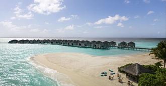 Amari Havodda Maldives - Havodda - Playa