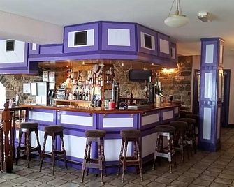 Walsh's Bridge Inn - Newport - Bar