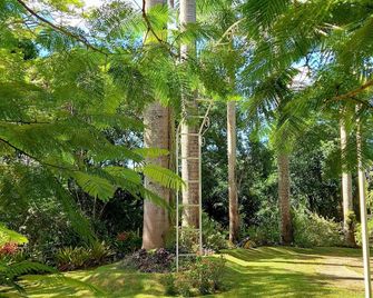 Hotel Netto - Cachoeiras de Macacu - Outdoors view