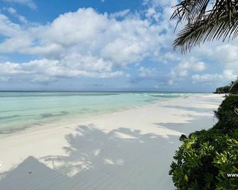 Aya Beach Resort - Kizimkazi