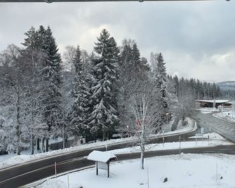 Hotel Adler Bärental - Feldberg - Dış görünüm