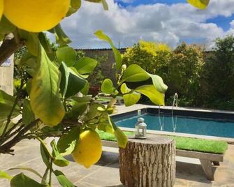 Domaine de Rennebourg - Asnières-la-Giraud - Piscine