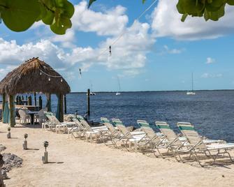 Amoray Dive Resort - Key Largo - Пляж