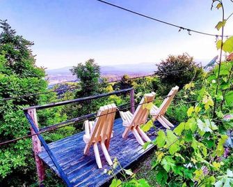 Vineyard Cottage Vercek - Novo Mesto - Balcony