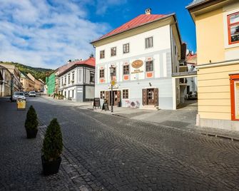 Hotel Salamander - Garni - Banska Stiavnica - Buiten zicht
