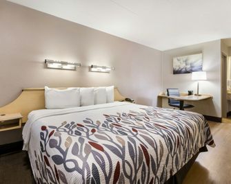 Red Roof Inn Rockford East - Casino District - Rockford - Bedroom