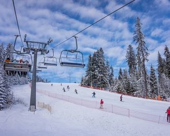 Pensjonat Dziubas - Białka Tatrzańska - Servicio de la propiedad