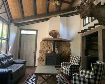 Cozy vacation home just 20 minutes from Six Flags St. Louis - Ballwin - Living room