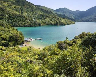 Punga Cove Resort - Picton