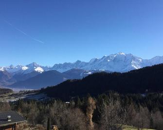Magnificent and charming apartment, unique view of the Mont Blanc range - Cordon