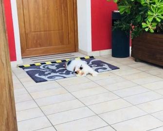 Carpe Diem Countryhouse - Bibione