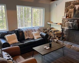 1 Acre \ Fireplace \ Record Player \ Woodstove \ Outdoor Seating - Evergreen - Living room
