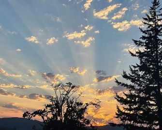 Hunter and gatherer ‘s Hideaway - Woodland - Buiten zicht