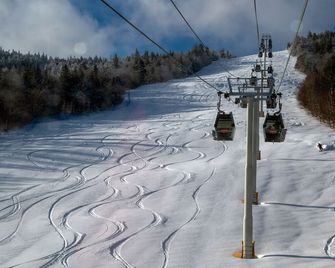 Vantage Point Villas at Stratton Mountain Resort - Stratton - Servicio de la propiedad