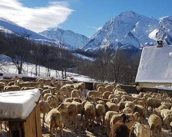 Apartment Luchon 2 to 4p, ski and cures - Bagnères-de-Luchon