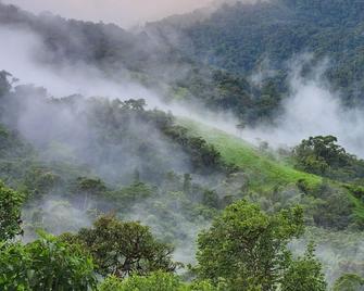 Cloud forest retreat - Nanegalito